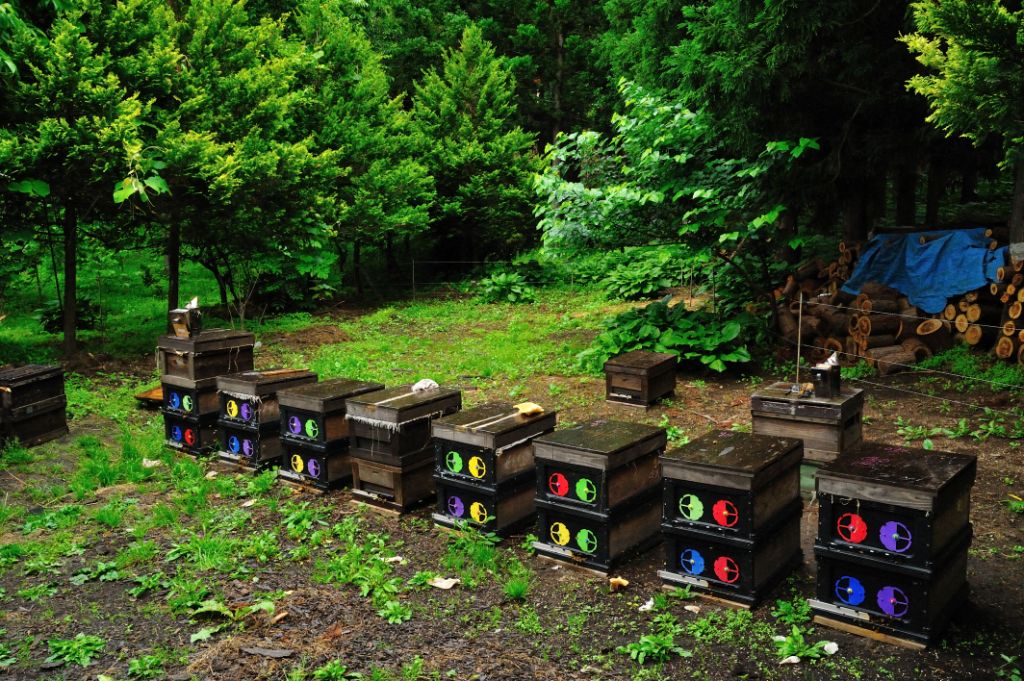 �̤���ƤΤϤ��ߤĿ�����١�4�糧�å�