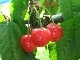 �ڤ�������������ͻ��������ܡ�ͽ�������