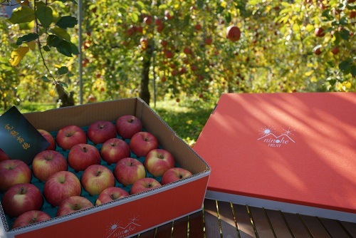 ���崰���դȤ餺������