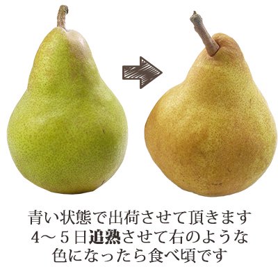�顦�ե��