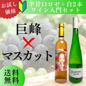 【送料無料】日本人好みの巨峰&マスカット半甘口ワイン2本セット フルーティ感◎（500ml×1＋750ml×1）【初心者にもおすすめ】