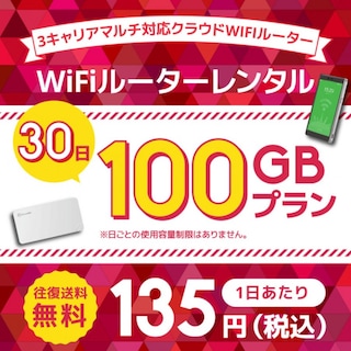 WiFiレンタル クラウドWIFIルーター 30日100GB レンタルプラン