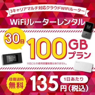 WiFiレンタル クラウドWIFIルーター 30日100GB レンタルプラン