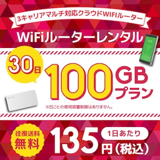 WiFiレンタル クラウドWIFIルーター 30日100GB レンタルプラン