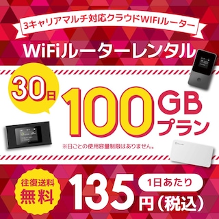 WiFiレンタル クラウドWIFIルーター 30日100GB レンタルプラン