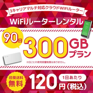 WiFiレンタル クラウドWIFIルーター 90日300GB レンタルプラン