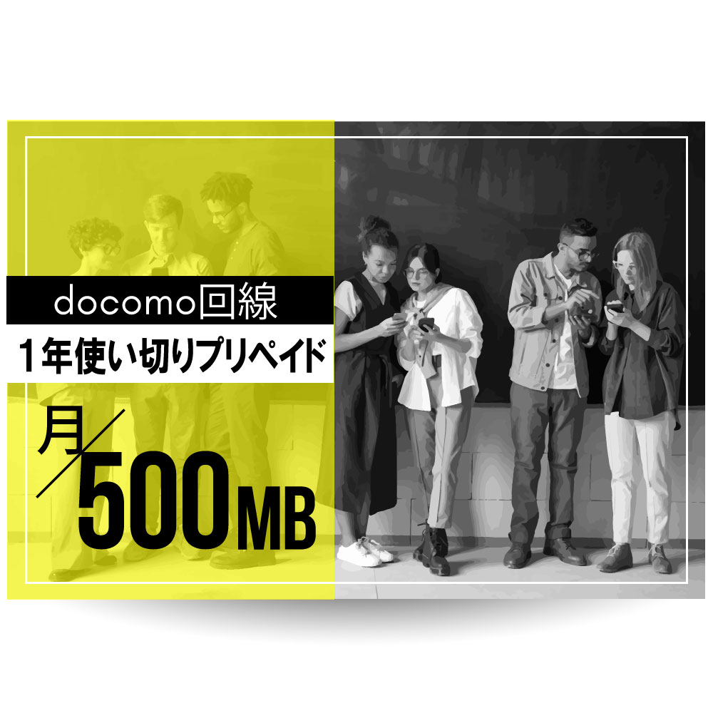 CALENDAR SIMカード docomo回線1年プリペイドSIMカード 月/所定容量プラン[Jプラン]