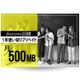 月/500MBプラン（12ヶ月）