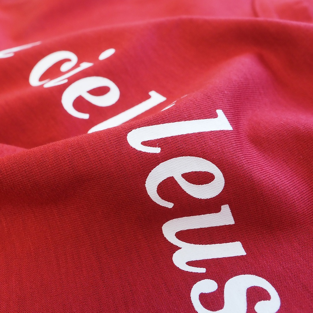 NARU(ナル) マイヴィスC微強撚天竺 le ciel bleusプリントT 663202