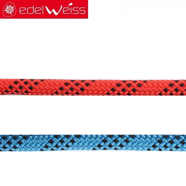 EDELWEISS プロライン11mm カラー