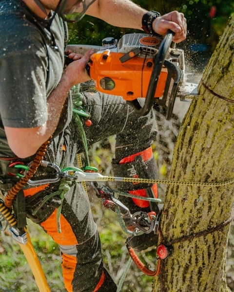 DISTEL スティール ショートギャフ ベロクロ