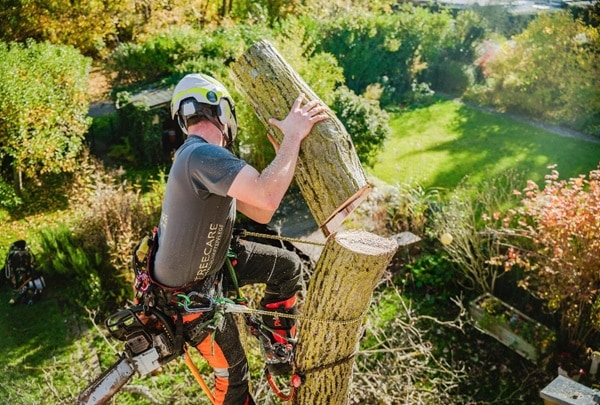 DISTEL スティール ショートギャフ ベロクロ