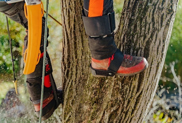 DISTEL スティール ショートギャフ ベロクロ