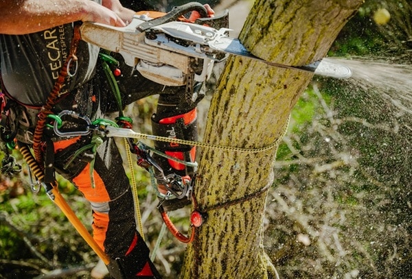 DISTEL スティール ショートギャフ ベロクロ