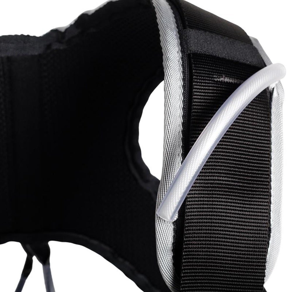 SINGINGROCK　アラジン・プラス