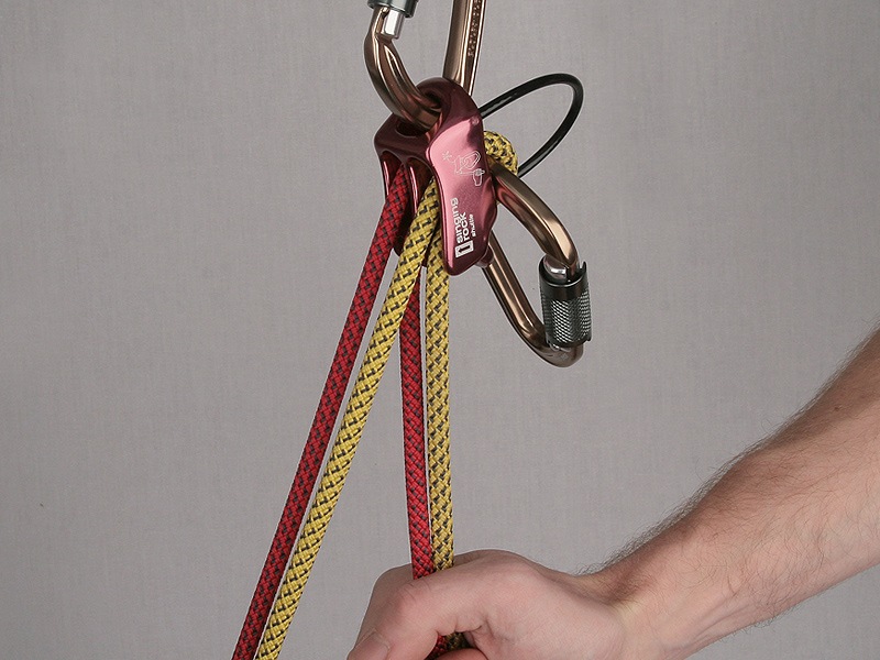 SINGINGROCK　シャトル