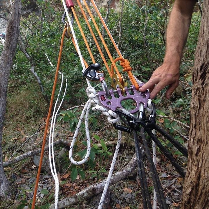 rockexotica　ボルト