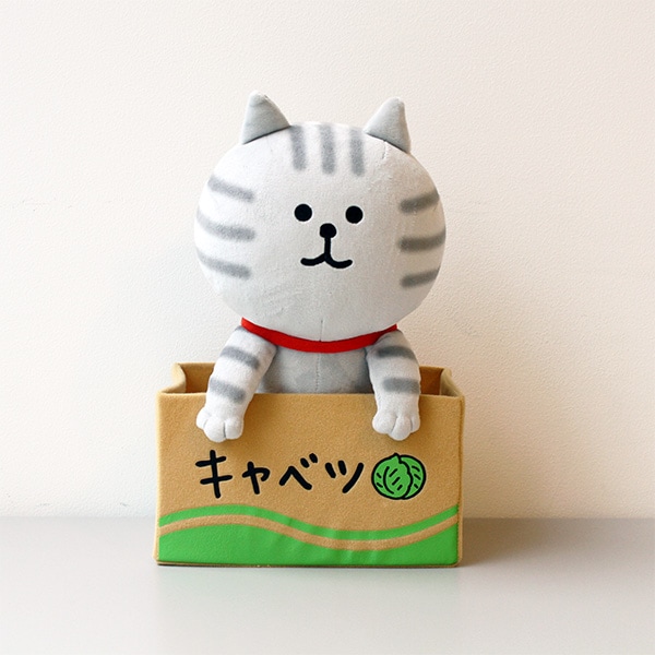 世界から猫が消えたなら ３ 世界から猫が消えたなら Blu-ray 通常版（SBR26307D）｜TOHO