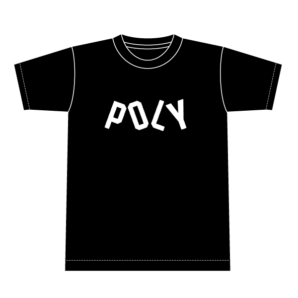 POLYSICSDEVO POLY Teeסˡ佪λ