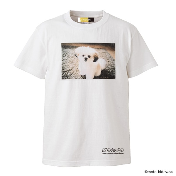 9月5日まで出品【みうらじゅんモコゾウ Tシャツ】　Mサイズ みうらじゅん×モコゾウ】“アウト老”半袖Tシャツ・長袖Tシャツと