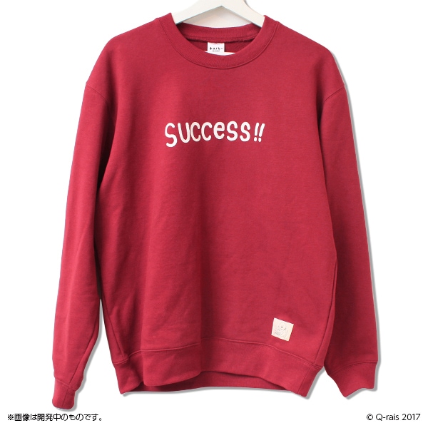 ͥΥҡ success!! ȥ졼ʡ佪λ