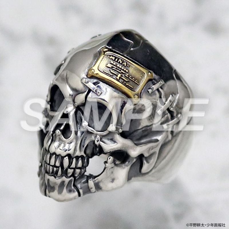 ʿ��������������� HELLSING MINA��������