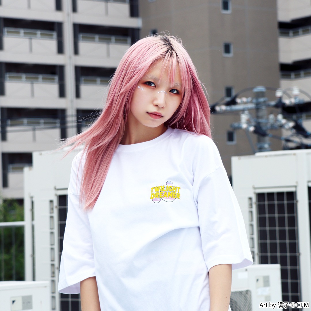 鲻ߥ ȥ磻饤ȡɥ꡼ޡ SUPER ANIME Like T-Shirts