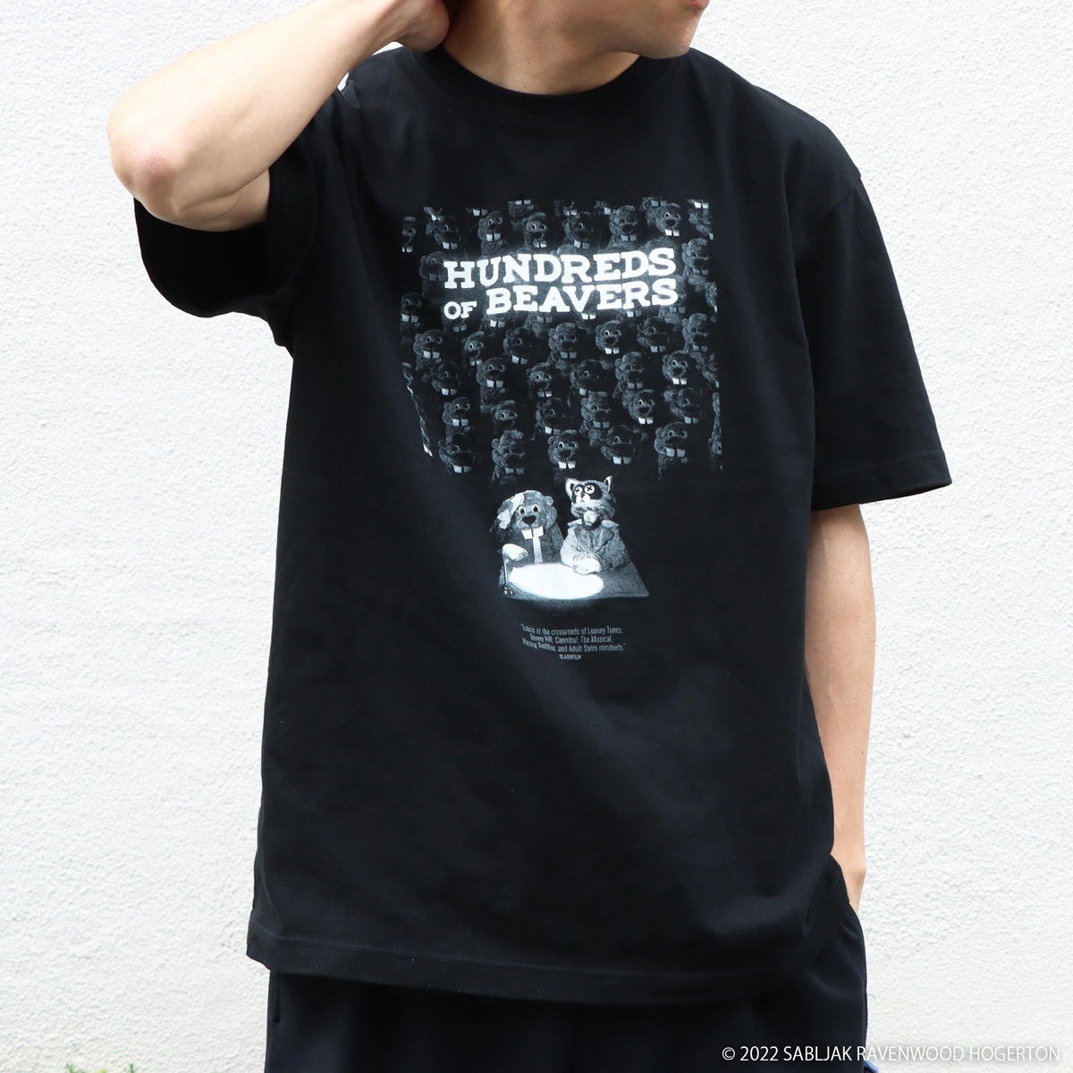 FEVER �ӡ��С��� �����ӥ��奢��T�����