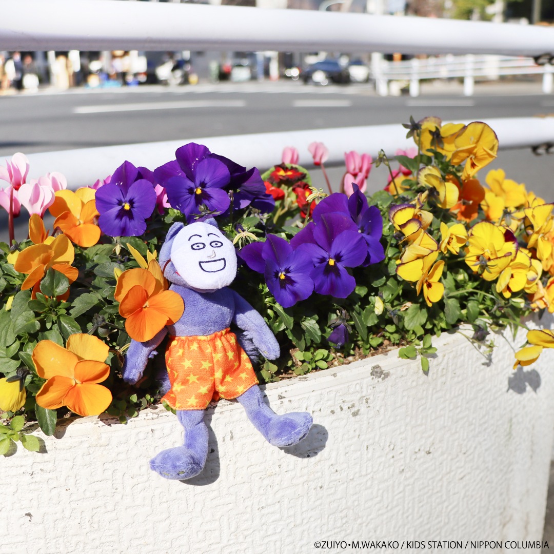 �ݥԡ����ѥե����ޡ� �̤�����ߥޥ����å� �������