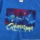 ���˥�֥ɥ��إɥ��� DDJ CHIDARUMA T�����