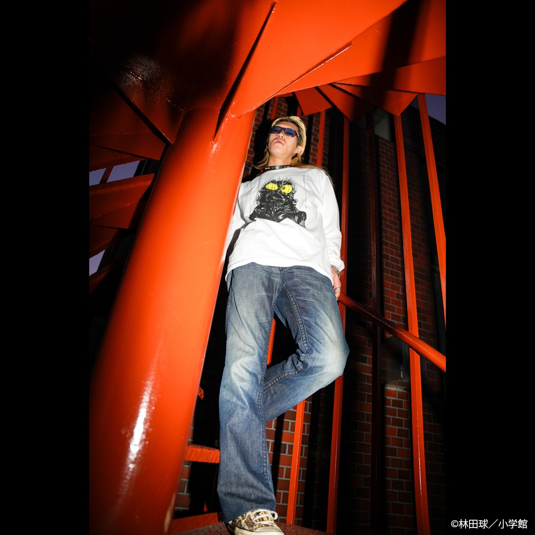 �ɥ��إɥ� �����ޥ���󥰥��꡼��T�����