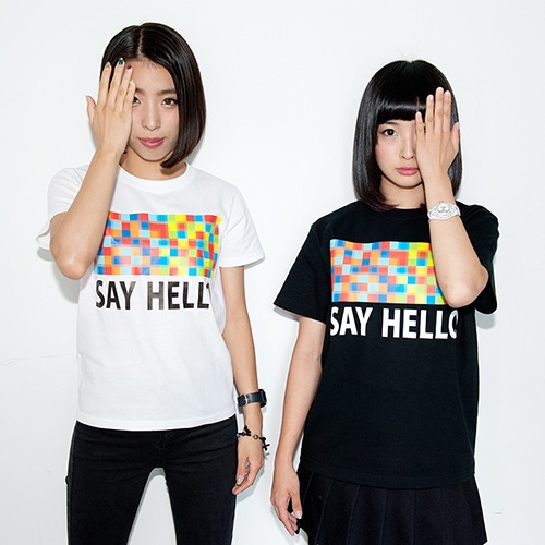 �ץ�˥��SAY HELLO��T����ġ����佪λ��