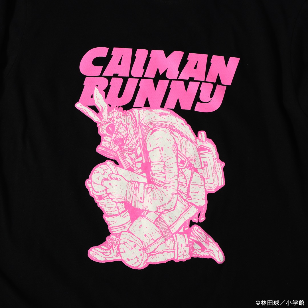 �ɥ��إɥ� �������������ޥ���󥰥��꡼��T�����