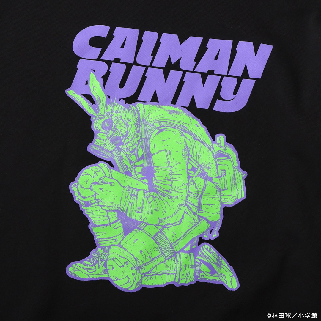 �ɥ��إɥ� �������������ޥ󥹥����å�