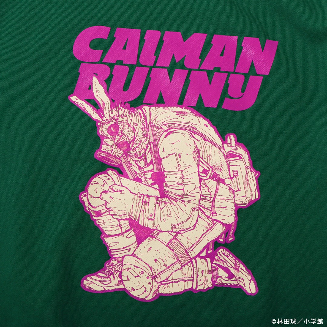 �ɥ��إɥ� �������������ޥ󥹥����å�