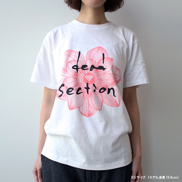 ���ܥ��쥭�ƥ�Ϣ�� T����ġ����佪λ��