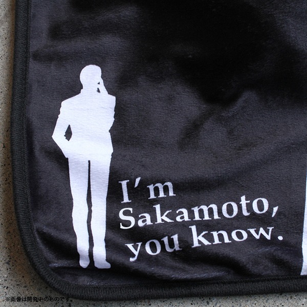 ���ܤǤ����� �֥�󥱥åȡ����佪λ��