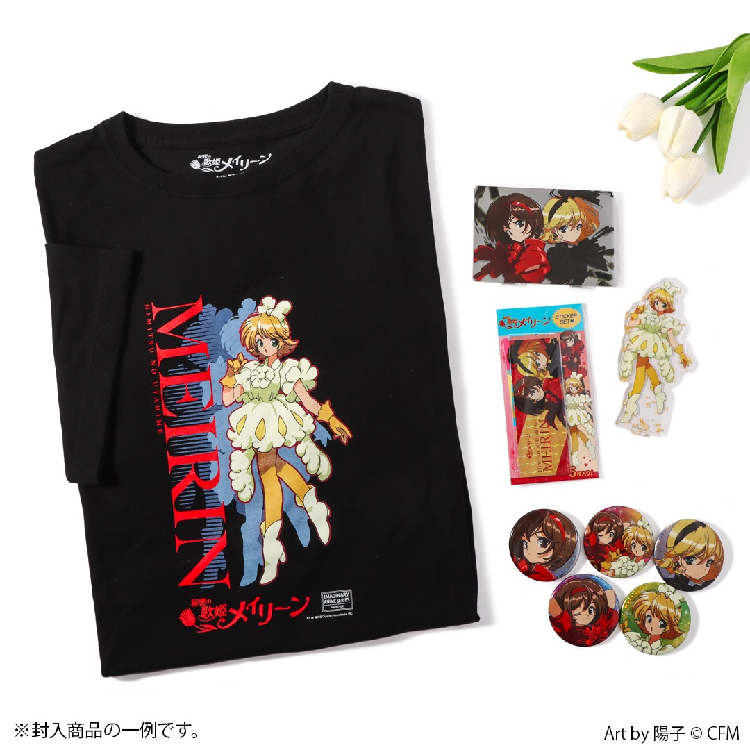 �ԥ��ץ�����饯������ ��̩�β�ɱ�ᥤ�꡼�� �ϥåԡ��ܥå��� T����ĥ��å� ��� L