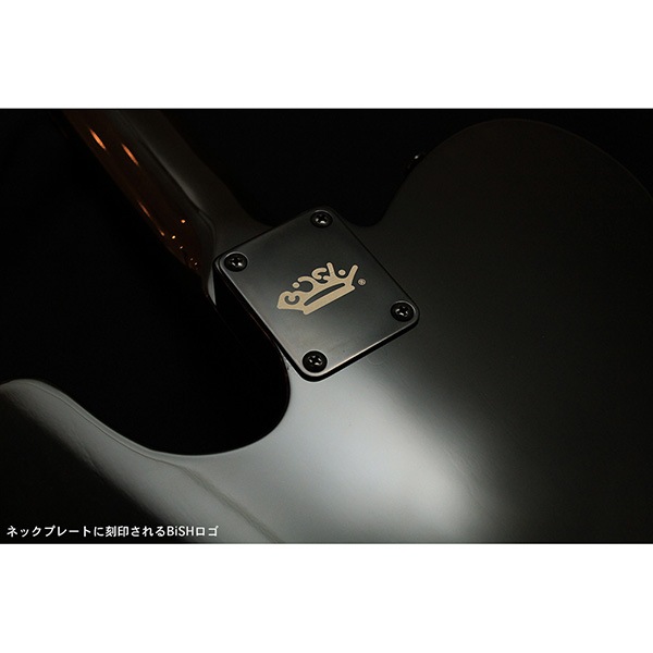 BiSH Fender Telecaster Thinline “BiSH”【販売終了】 | 特集