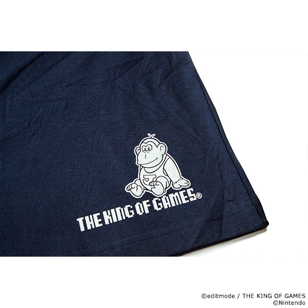 THE KING OF GAMES �ɥ󥭡����󥰡�GB�� HOW HIGH CAN YOU GO?T�����