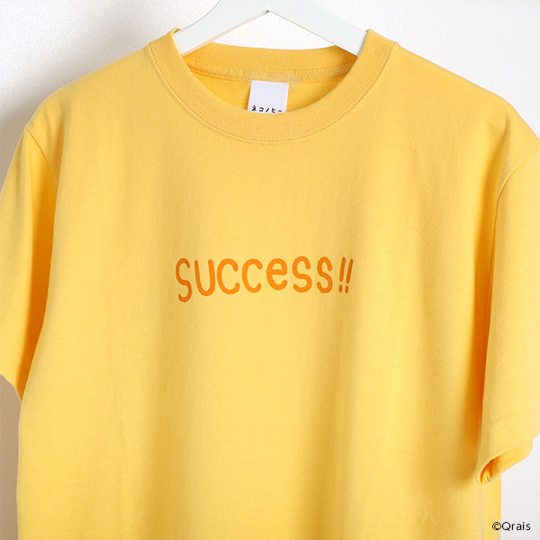 �ͥ��Υҡ� success!! T����ġ����佪λ��