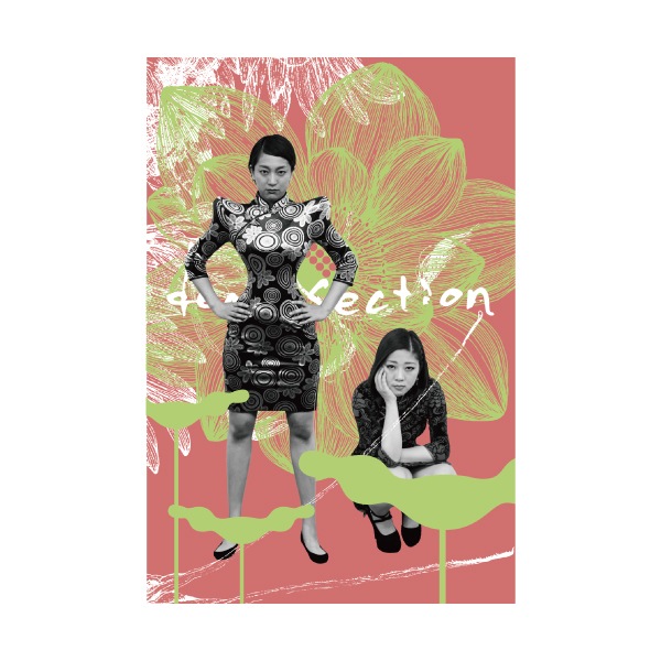 ���ܥ��쥭�ƥ�Ϣ�� �ݥ��ȥ����ɡ�3�祻�åȡˡ����佪λ��