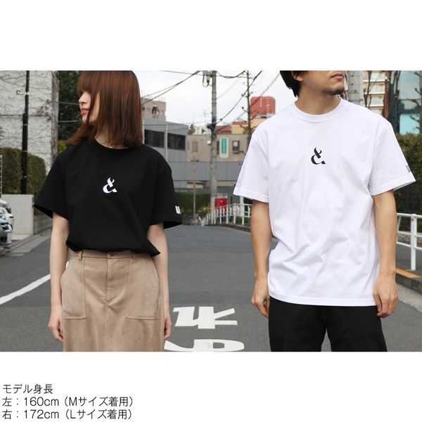 ;���ȵӿ� T����ġ����佪λ��