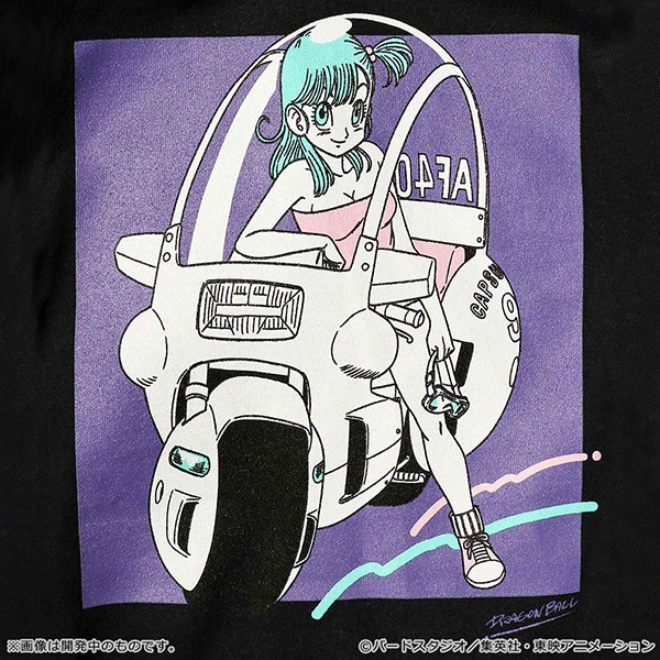 �ɥ饴��ܡ��� Romantic Tee�����佪λ��