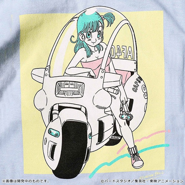 �ɥ饴��ܡ��� Romantic Tee�����佪λ��