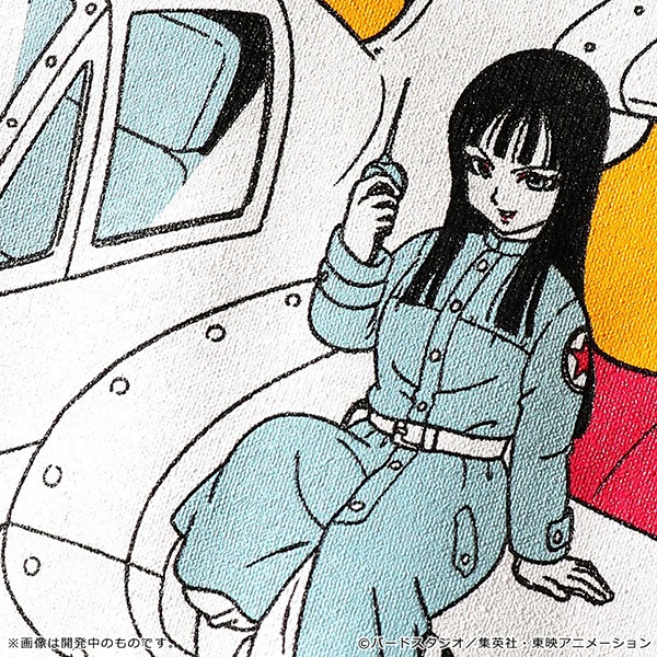 �ɥ饴��ܡ��� Romantic Tee�����佪λ��