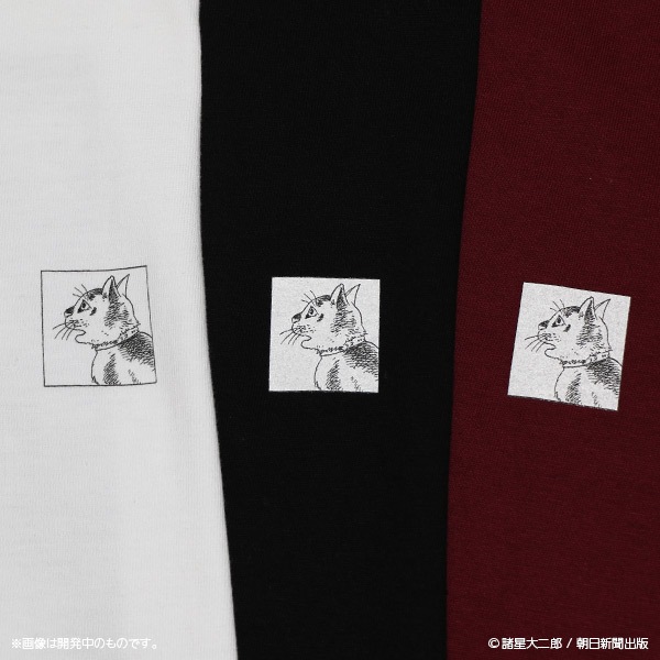 �٤Ȼ���� �ܥꥹ���󥰥��꡼��T����ġ����佪λ��