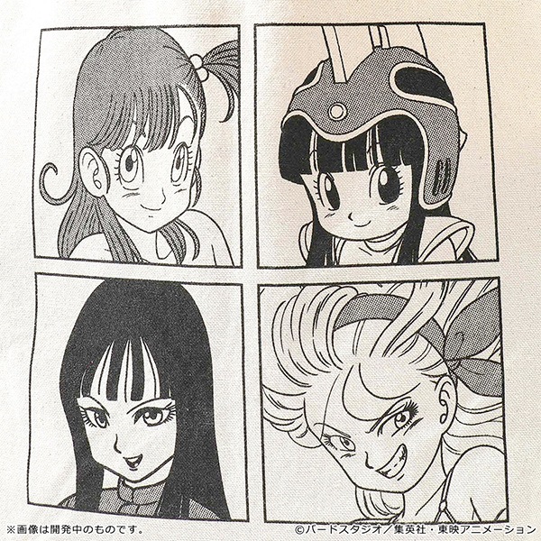 ドラゴンボール Romantic Tote Bag【販売終了】 | 特集から探す