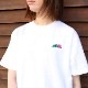 �饤�֥ʥ��꡼ ����ޤ��褷��TRICERATOPS  YAMATORA T����ġ����佪λ��