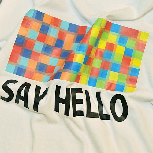 �ץ�˥��SAY HELLO��T����ġ����佪λ��